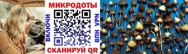 Псилоцибиновые грибы Cubensis  Верхняя Салда 